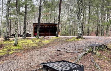 Private and Perfect! - hot tub, king bed, fireplace - dog and motorcycle friendly Studio Cabin by RedAwning - Foto 46