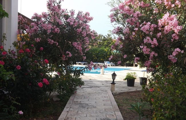 Paradise Holiday Bungalows - Foto 24