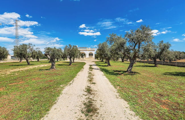 3921 Villa Cesira by Perle di Puglia - Foto 54