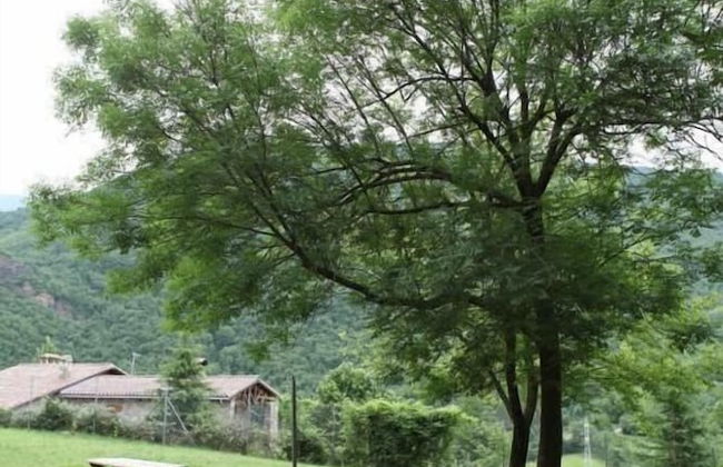 Colonias Verge Blanca - Foto 27