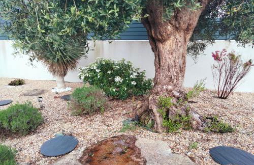 Magnifique longère avec piscine chauffée à 3 mn d'Audierne et 8 mn de pont croix , parking privé - Photo 15