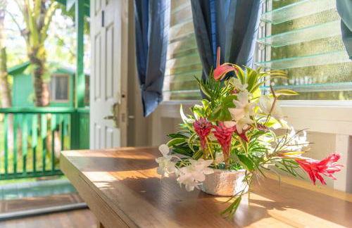 Hawaiian Sanctuary Eco Retreat Center - Foto 56