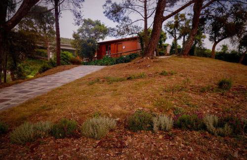 Arrabia Bunga Douro - Foto 27