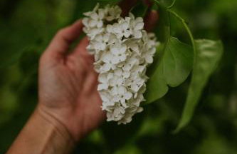 Przylesie 12 - Foto 30