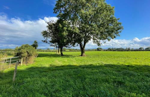 Rose Cottage - Foto 6