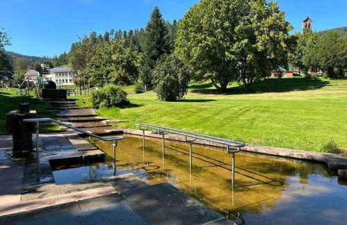 Black Forest House Zwink - Foto 14