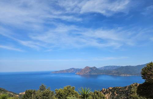 U Paradisu - Foto 10