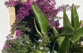 Casa delle Rondini - Foto 16