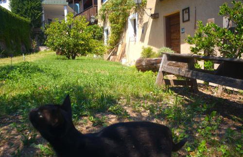 La Casa Altrui - Loft incantevole, open space - Foto 24