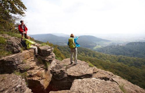 Schöne, große Ferienwohnung beim Steinhude Meer mit schnellem WLAN & Arbeitsplatz - Foto 44