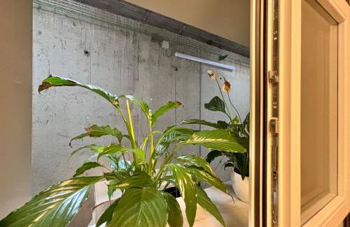 Luna Suites at Lago Dorato, Luxury - Foto 19