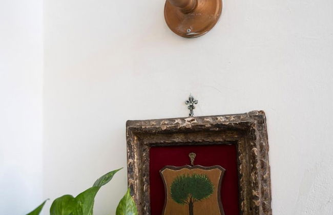 Agriturismo Il Casanova - Foto 46