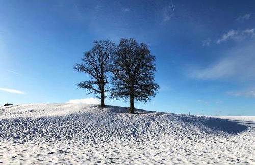Ferienhaus NettersHäuschen in Nettersheim, Eifel - Photo 28