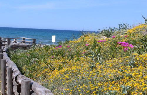 Sardinia SeaBreeze Villa IUN R2178 - Photo 46