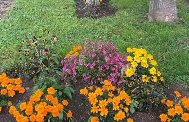 Vue du Gar - Foto 31