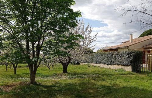 UNE CHOUETTE MAISON - Foto 6