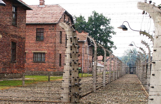 Excursión privada a Auschwitz-Birkenau - Foto 7