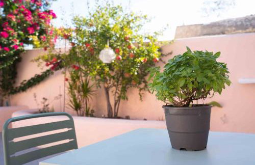 Bird Nest-Santorini Cave houses - Foto 24