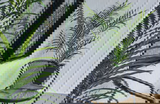 Station Farmhouse Tremblant - Foto 65