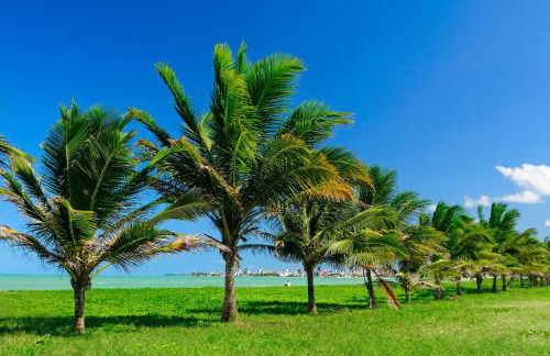 Chocolate com pimenta Edifício - Praia do Bessa - Foto 135