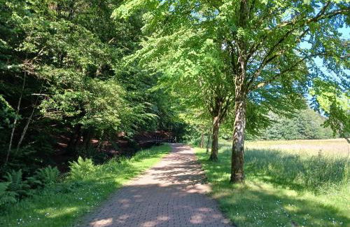 Ferienwohnung Susanna - Foto 24