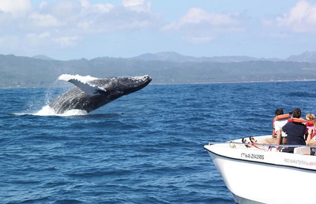 Appart-hotel Veras Samana No 12 - Photo 9