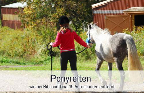 Natur-Chalet zum Nationalpark Marie-Luise inkl E-Auto - Foto 42