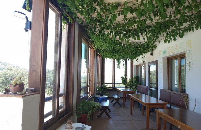 Algaba de Ronda - Foto 79