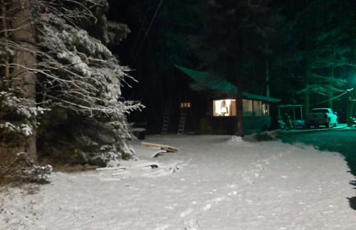 Rustic Willow Retreat - Outdoor Adventures cabin - Foto 7