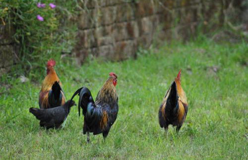 Agriturismo la Sforzata - Photo 18