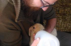 Agriturismo Oasi del Pianettino - Foto 30