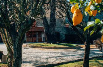 Just Like Home - Casa do Rosmaninho - Foto 67