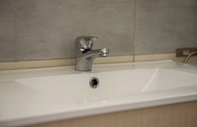 Artemissoula - Foto 70