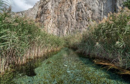 Emis house krioneri - Photo 26