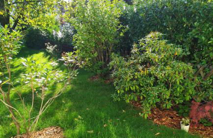 Haus-im-Garten-in-der-Naehe-von-Koeln-Messe - Foto 18