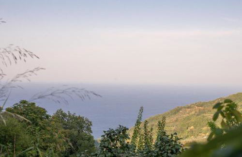 Zoes House - Foto 16