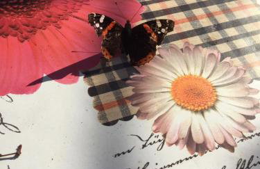 Kuća za odmor "Nedeljko"/ Holliday hause "Nedeljko" - Foto 8