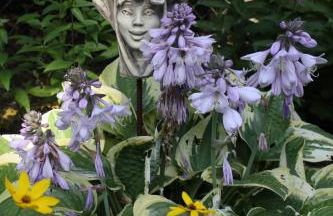 FeWo - Wohlfühlambiente & Gartenparadies - Foto 34