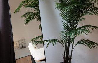 EXKLUSIVE Altmarkt-Suite - stilvolle 120qm - Top Lage - Photo 10