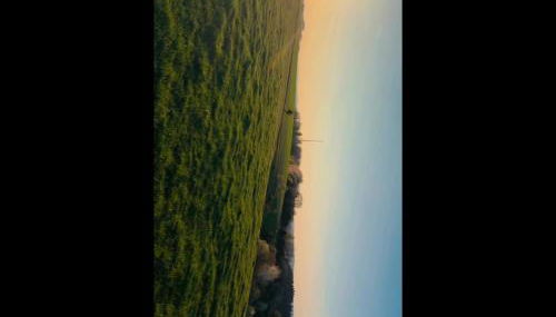 Pure Living - Foto 2