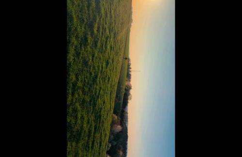 Pure Living - Foto 2