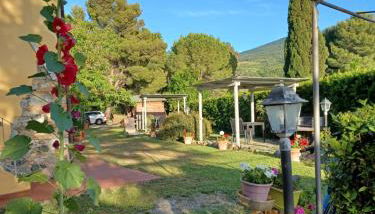 Agriturismo Il Gelso - Foto 3, Garden, Garden view