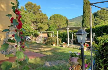 Agriturismo Il Gelso - Foto 3