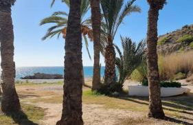 Sol Mediterráneo - Palm Beach 8 - Photo 20