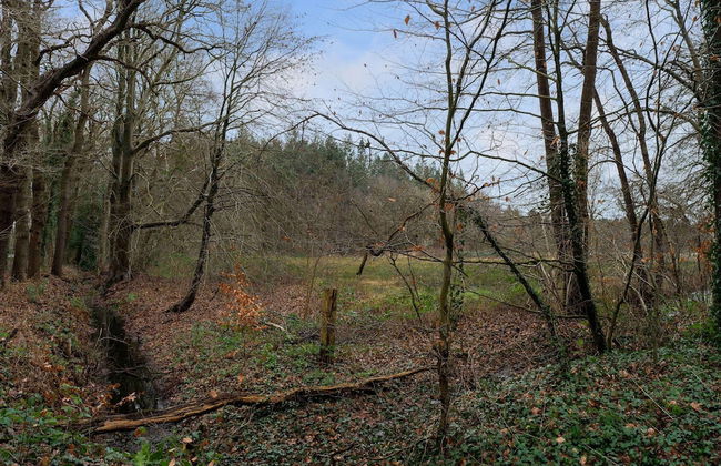 Forest House in Norg With Private Sauna - Photo 30