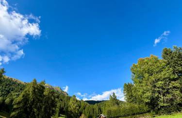 Pragma Apartments - Fiore delle Alpi - Foto 18