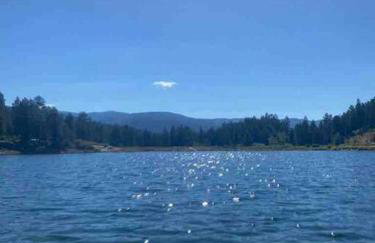 Secluded Mtn home by Purg, Hot Tub, Views! Pets ok - Foto 49