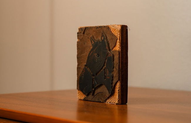 Western 1924 Luxury Lofts - Foto 17