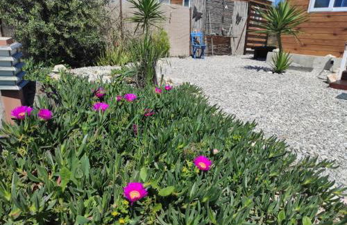 Mountain View Bungalows Dimilia - Foto 48