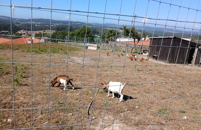 Quintinha S o Martinho Luxury 2 Suites Villa Eira - Foto 58